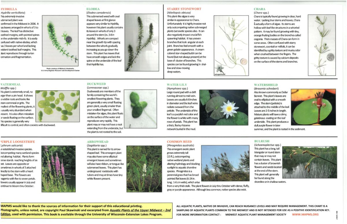 Midwest Aquatic Plant Management Chart - La Porte Lake Association