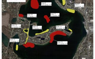 June 2025 treatment was made to treat 74.20 Acres of the invasive Milfoil on Pine Lake, it is likely we will have to make small treatment in the fall, it will be evaluated then. this is the map of what was treated. Total cost was $51,059.20 Lare Grant-$20,000 Lake Association Cost $31,059.20