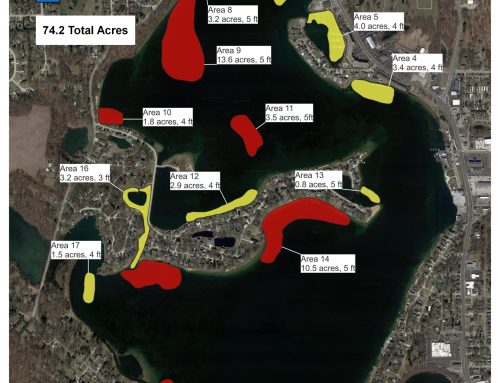 June 2025 Aquatic Weed Control Treatment
